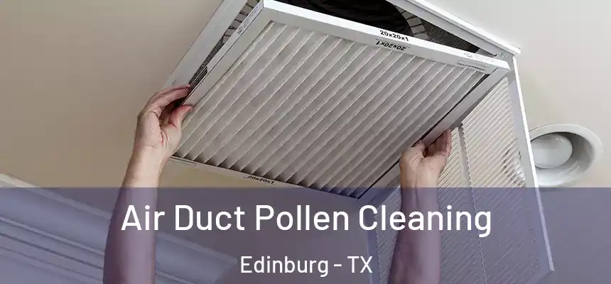  Air Duct Pollen Cleaning Edinburg - TX