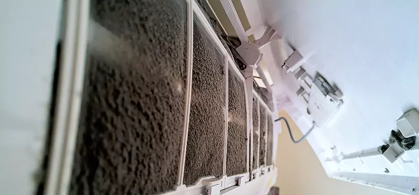 Preventive Air Duct Bacteria Removal in Edinburg