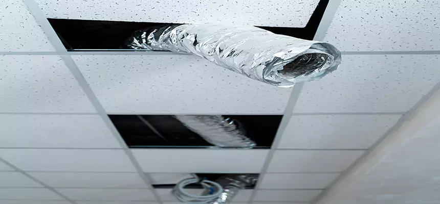 Our Air Duct Pet Hair Removal Services in Edinburg, TX