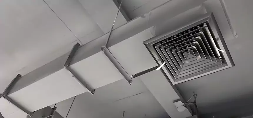 Our Pest Removal From Ducts Services in Edinburg, TX