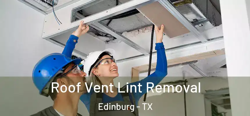 Roof Vent Lint Removal Edinburg - TX