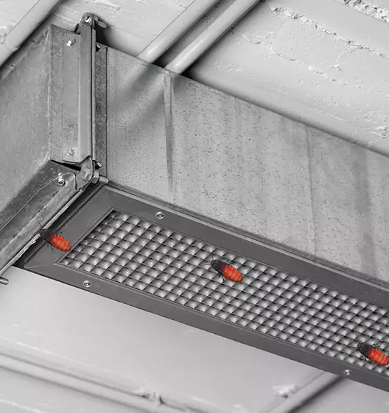 About Air Duct Cockroach Removal in Edinburg, TX
