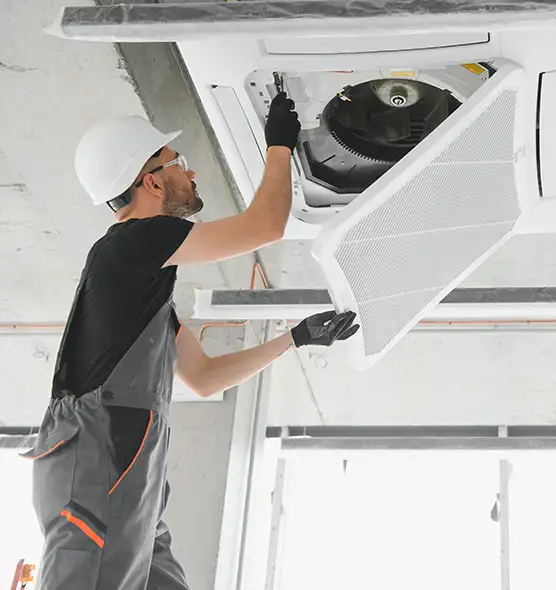 About Air Duct Rodent Removal in Edinburg, TX