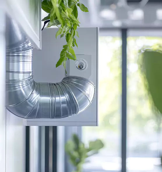 Professional Eco-Safe Dryer Vent Cleaning in Edinburg, TX