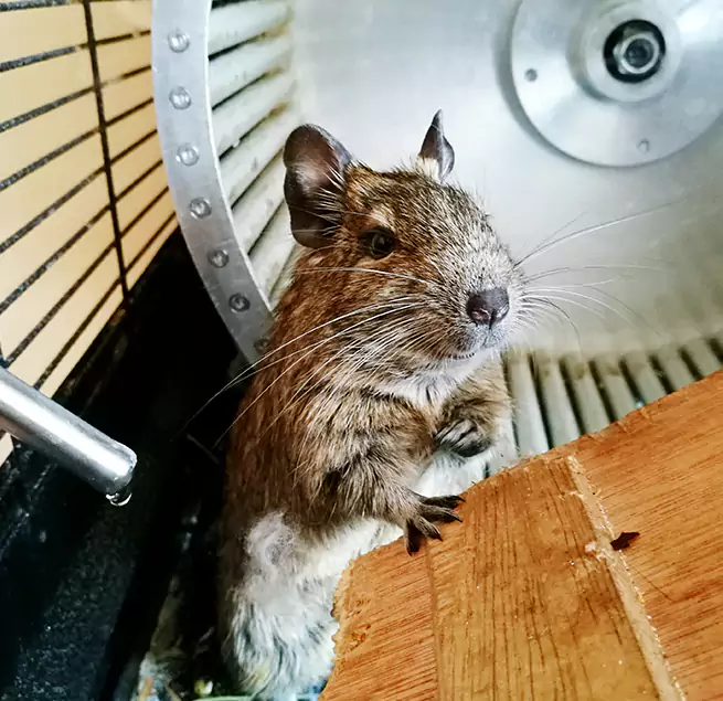 Why Homeowners & Businesses Trust Us Edinburg, TX