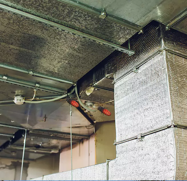 Why Homeowners & Businesses Trust Us Edinburg, TX?